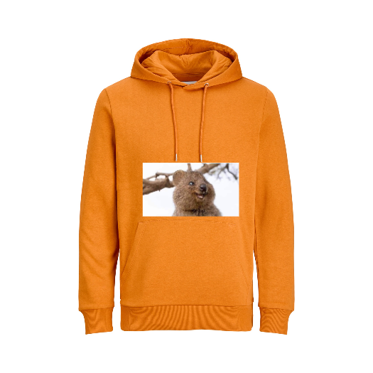 Basic Hoodie -Schweiß - Orange