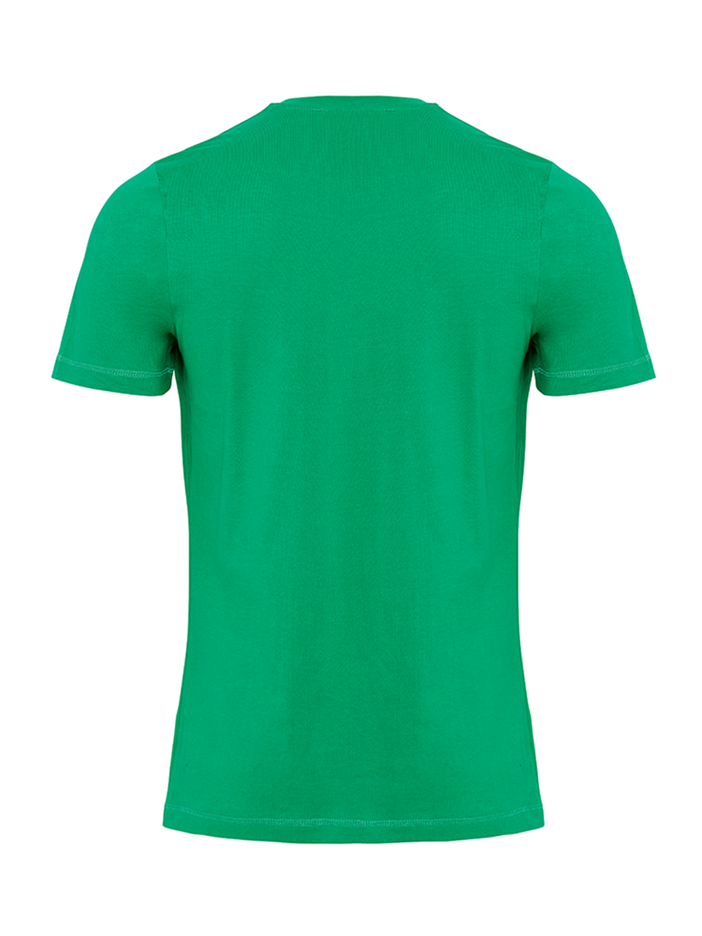 Bio -Basis -T -Shirt - Grün