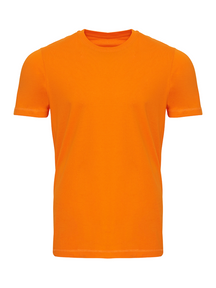 Bio -Basis -T -Shirt - Orange