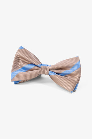 Bowtie - Gold/Hellblau
