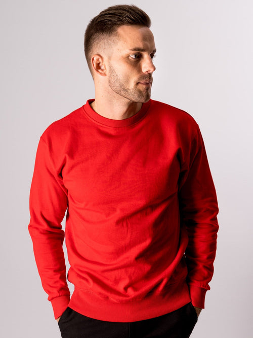 Basic Crewneck - Denmark's Red - TeeShoppen Group™ - Shirt - TeeShoppen