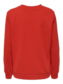 Color Reg Sweater - Red